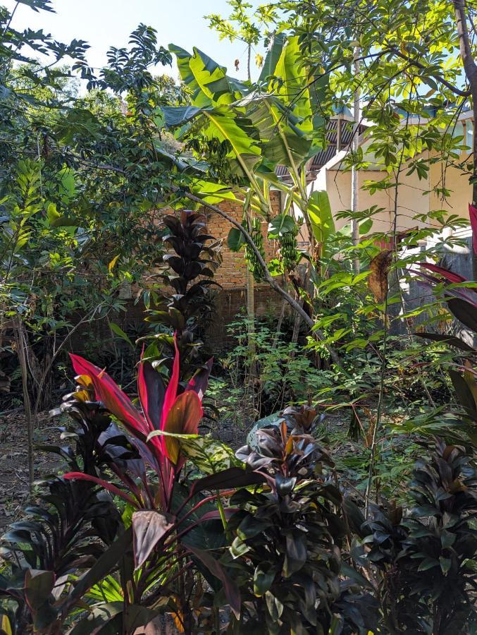 Agus Family Homestay Лабуан-Бахо Экстерьер фото